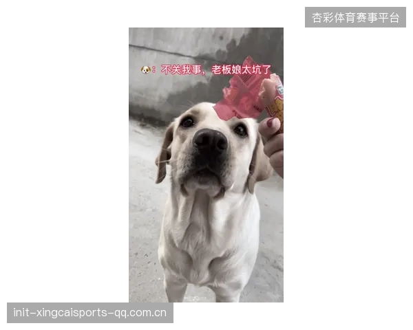 CR980了!狗胜,你真的让我哭死——如何在职场中“狗胜”并获得真正的爱与底气 CR980了!狗胜,你真的让我哭死——如何在职场中“狗胜”并获得真正的爱与底气